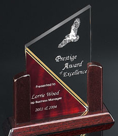Elegant Summit Award (9"x9"x3")